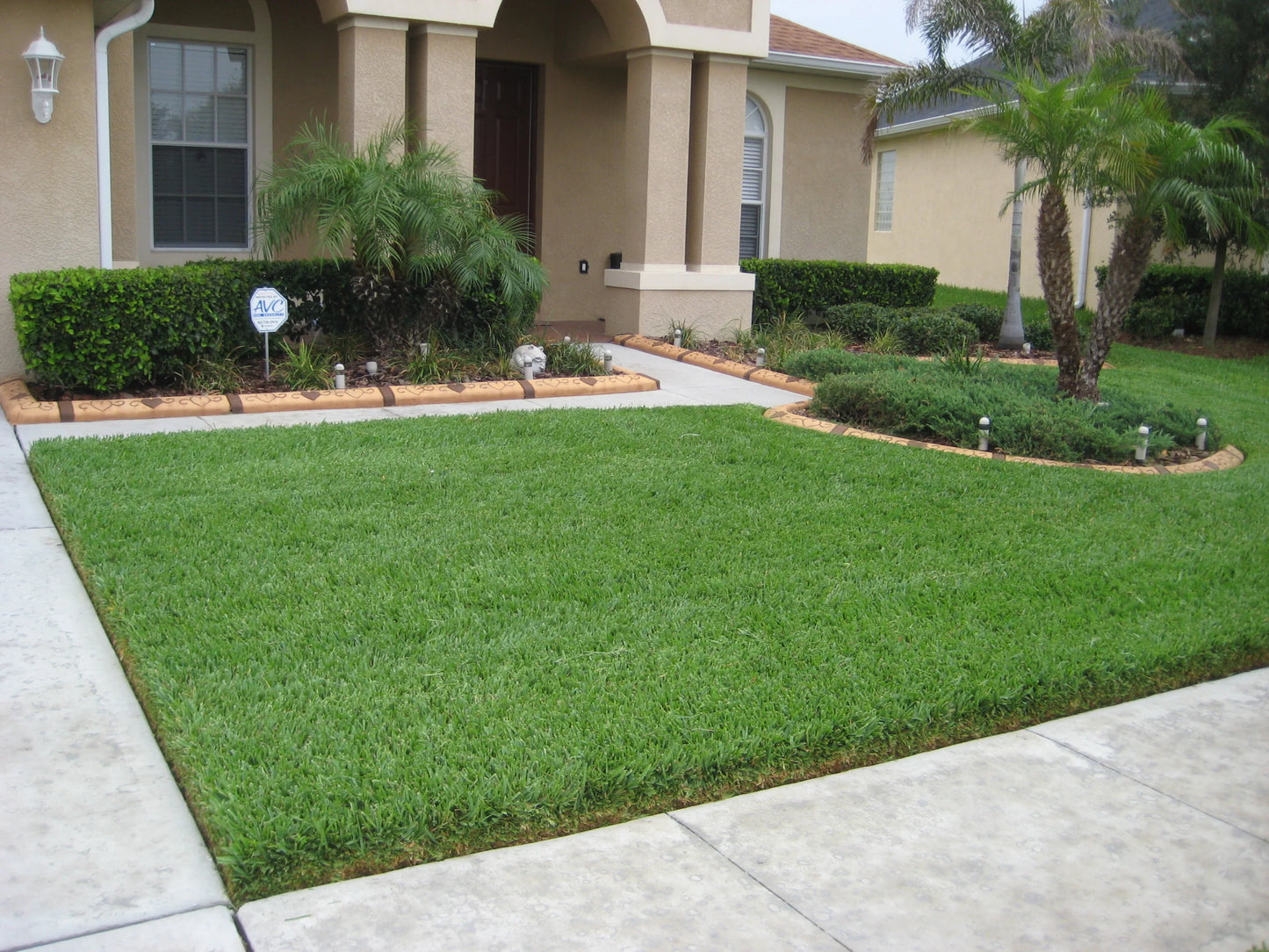 Tree Planting Service