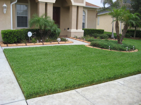 Love Your Garden Total Property Maintenance | Flower Plants